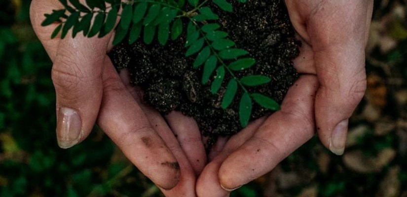 The Swedish Chamber of Commerce for the UK and Skanska UK in new sustainability partnership The Swedish Chamber of Commerce for the UK and Skanska UK in new sustainability partnership
