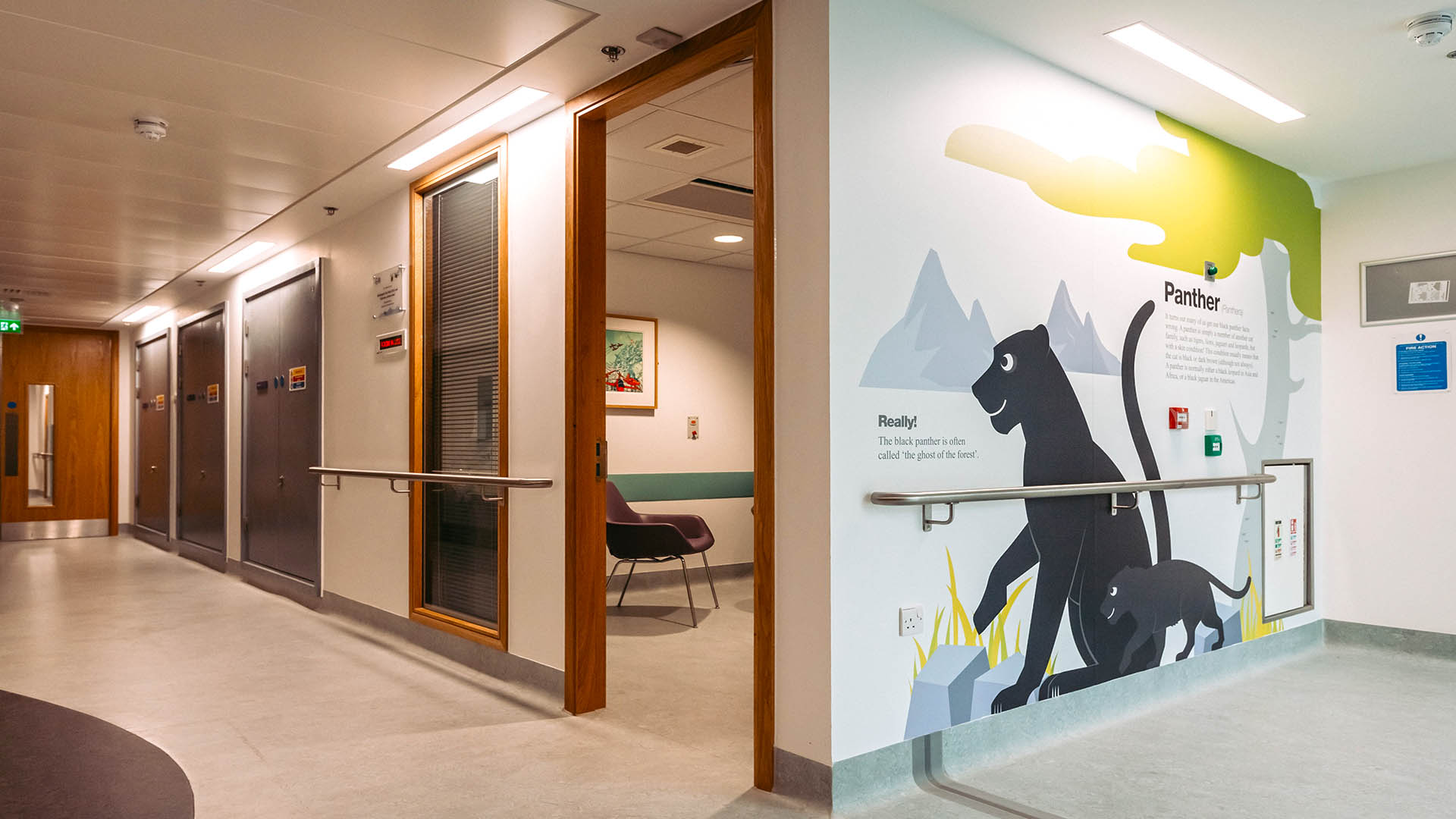 Panther ward – The Panther Ward in the new Premier Inn Clinical Building at Great Ormond Street Hospital.