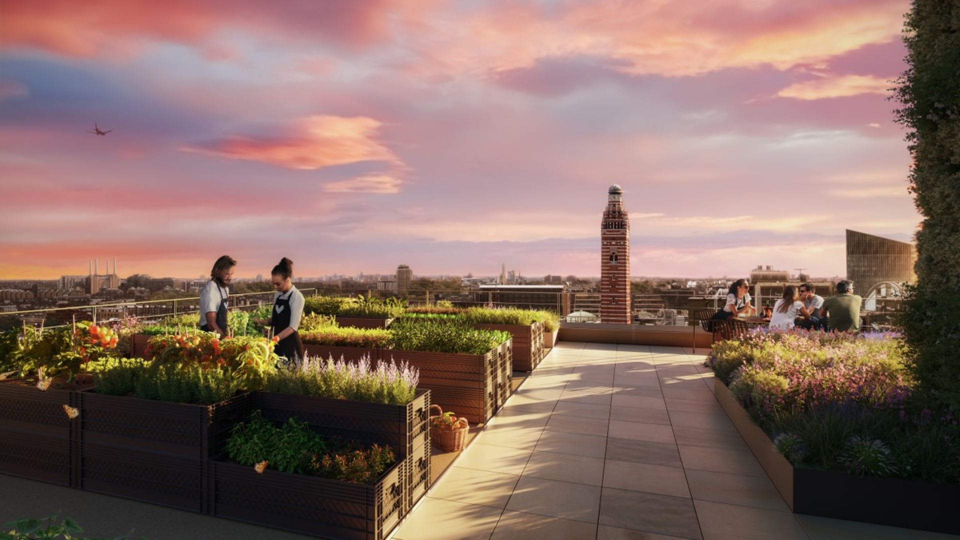 105 Victoria Street - Urban farm