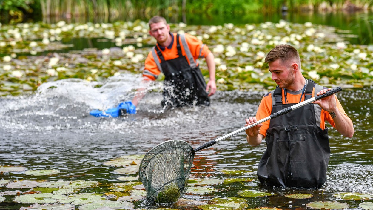 Two workers from Skanska dredge a pond at Northwood HQ, helping to protect wildlife and improve biodiversity