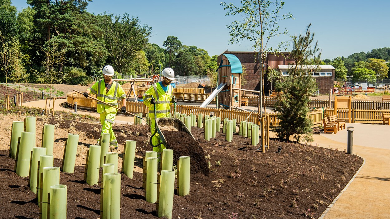 Two Skanska sub-contractors put earth around plants at Worthy Down, a major military project