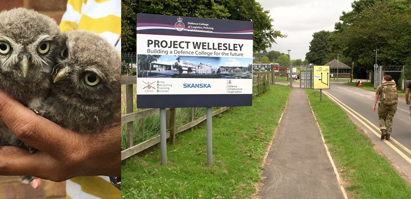 Skanska’s Worthy Down project team recently saved a pair of owlets who jumped from their nest and required rescuing. Skanska’s Worthy Down project team recently saved a pair of owlets who jumped from their nest and required rescuing.