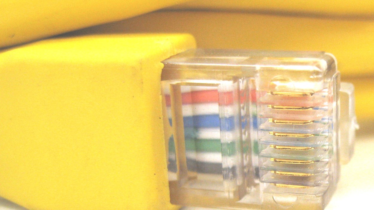 A close-up image of a CAT5 computer network cable
