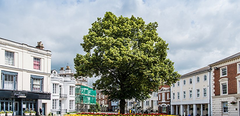 New Highways Service for Hampshire New Highways Service for Hampshire