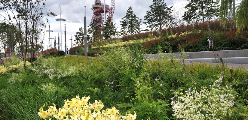 ODA landscaping ODA landscaping