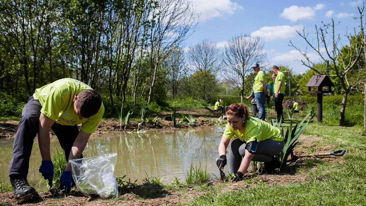 skanska-volunteers-biodiversity